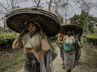 North East India with taj mahal | day 13