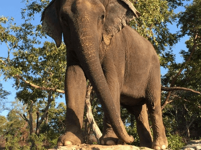 North East India with taj mahal | day 9